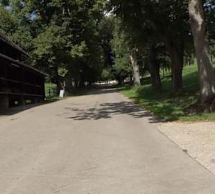 Haupt- und Landgestüt Marbach