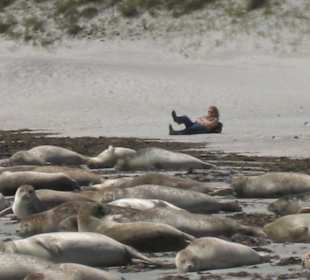 Kegelroben so nah wie nie?