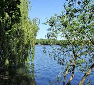 Am Westufer des Maschsees