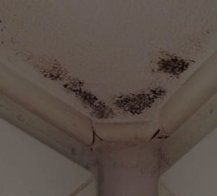 Schwarzschimmel im Fensterbereich im Schlafzimmer!