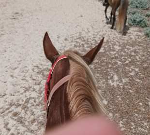 Wandern Can Picafort