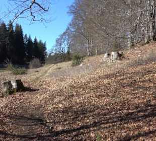 Naturerlebnispfad Meidelstetten