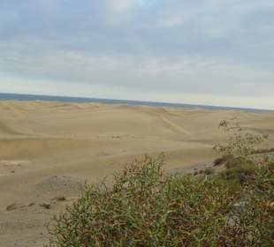 Die Dünen von Maspalomas