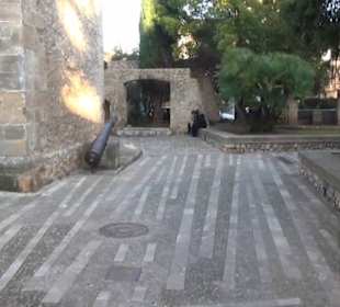 Jardines de Joan March