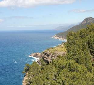 Von Andratx nach Valldemossa  17