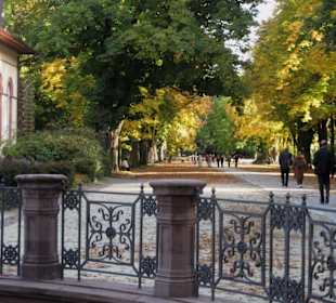 Kurpark Bad Homburg