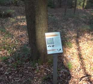 Wanderung Florianrunde