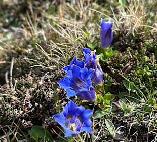 Wandern Campo Tures / Sand in Taufers