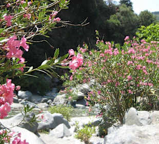 Alcantara - flußabwärts