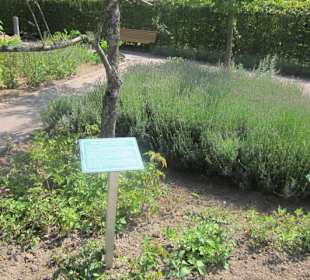 Kurpark Bad Bergzabern