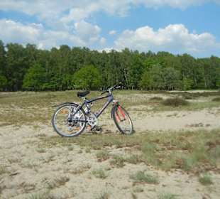 Naturschutzgebiet Boberger Niederung