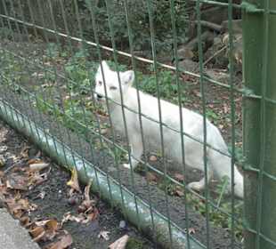Zoo Brno