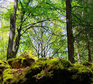 Wanderung zum Bärenfels