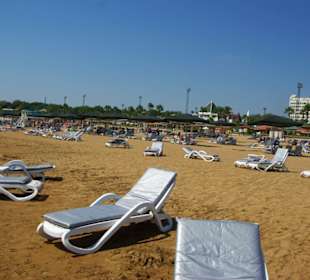 Jeder möchte vorne sein, nur wer bringt das zurück