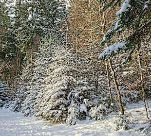 Herrliche Wintelandschaft