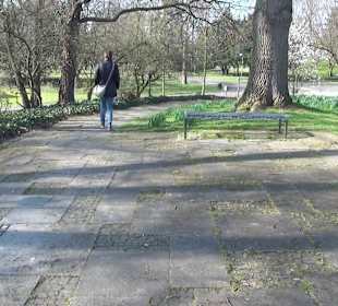 Rheinpark