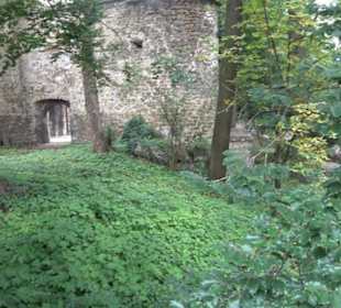 Schlosspark St. Emmeram