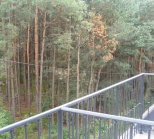 Widok z balkonu Hotel Korona