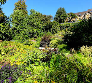 Impressionen aus dem Stadtgarten Vegesack