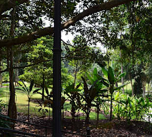 Botanischer Garten Singapur