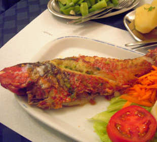 Mmh Papageifisch