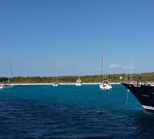 Cala´n Bosch