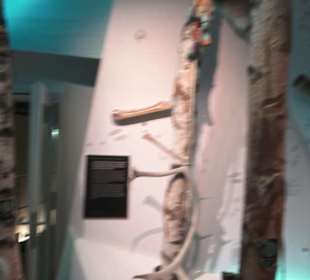 Nordamerika Native Museum