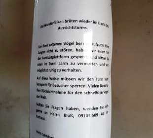 Info über die Turmfalken