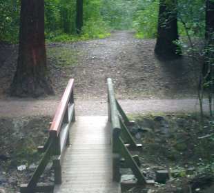 Brücke über einen kleinen Bach