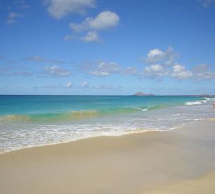 Lunga spiaggia oceanica