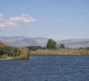 Ausblick auf den See