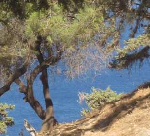 Akropolis von Lindos