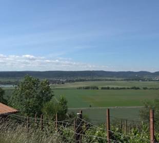 Weinlehrpfad