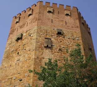 Alanya Tour