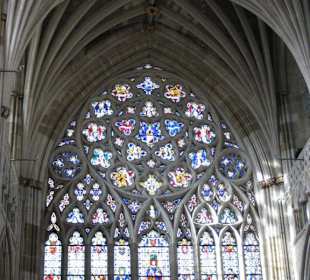 Fenster der Exeter Cathedral