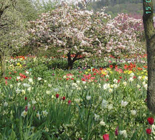 Ausblicke im Hermannshof