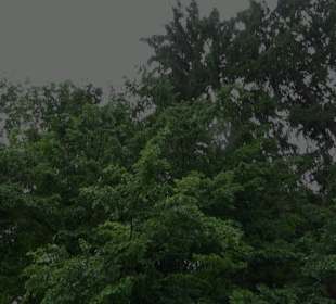 Baumlehrpfad Glacis Park