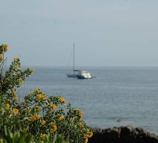 Ausblick von der Insel
