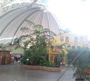 Tropical Islands in Krausnick