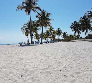 Crandon Park