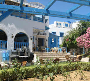 Häuser in Sidi Bou Said