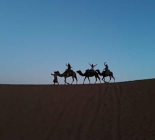 Dromedar-Ritt in Erg Chebbi