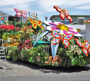 Umzugswagen des Blumenfestivals