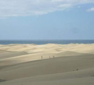 Dünen Maspalomas