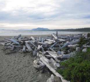Treibholzidylle am Wickaninnish Beach