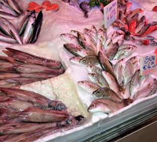 Rundgang zwischen den Auslagen des Mercato Civico