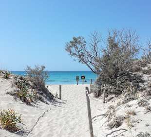 Strand Elafonisi/Elafonissi