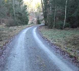 Ochsenweiher Rundweg