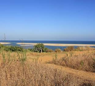 Blick in das Naturschutzgebiet