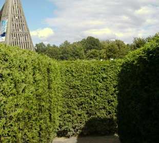Weg durch den Irrgarten